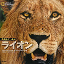 ライオン　　（ナショナルジオグラフィック動物大せっきん）